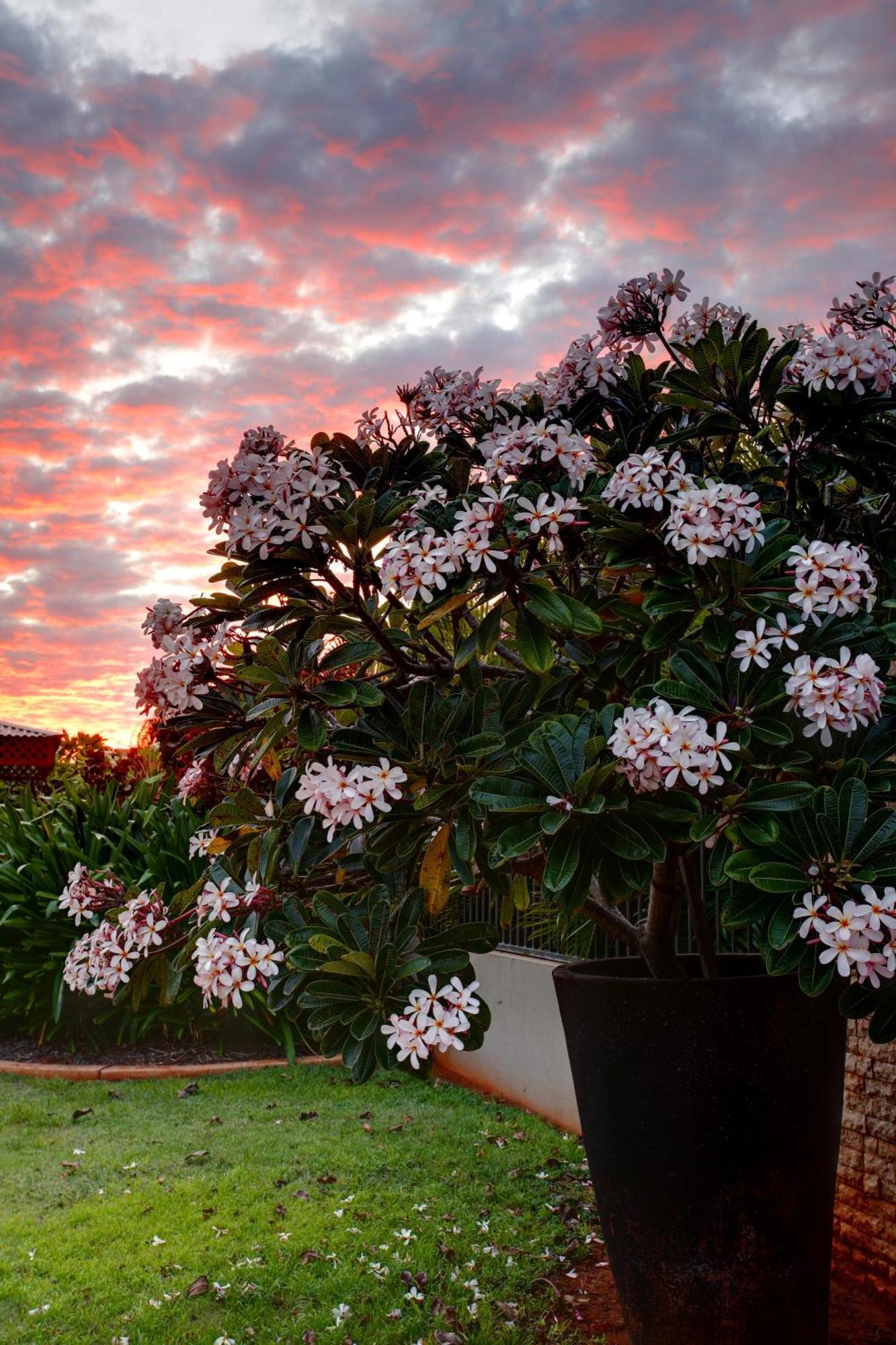 Mantra Frangipani Broome Exterior foto